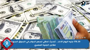 178.20 جنيه اليوم الأحد.. تحديث لحظي لسعر الدولار في السوق السوداء مقابل الجنيه المصري